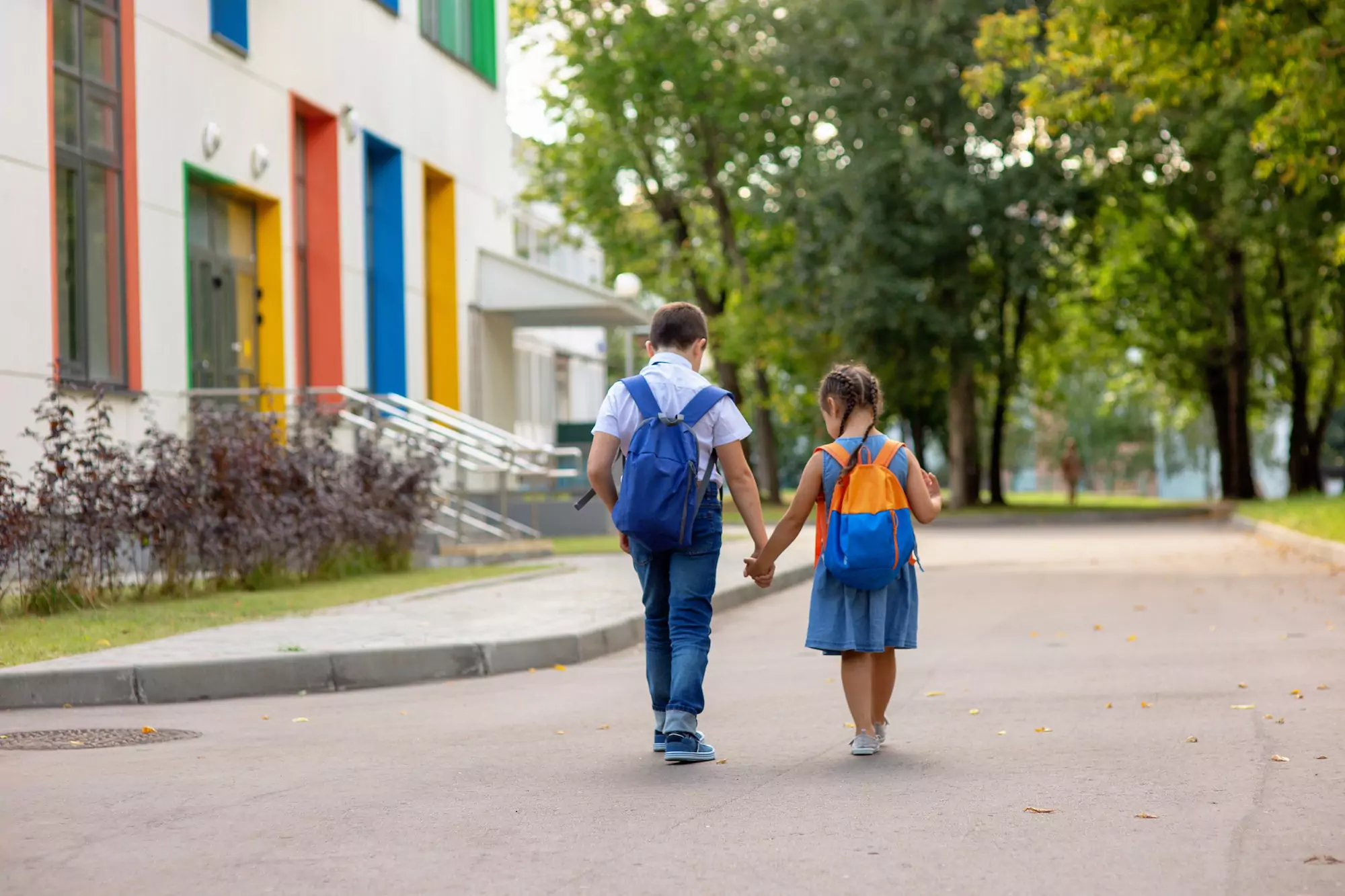 Schools and Colleges
